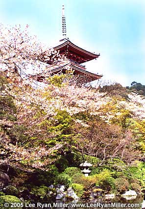 Osaka Japan Pictures Journal Semester At Sea Voyage Institute Shipboard Education University Pittsburgh Lee Ryan Miller Political Science Study Fun Sailing Traveling Semester At Sea Voyage Institute Shipboard Education University Pittsburgh Lee Ryan Miller
